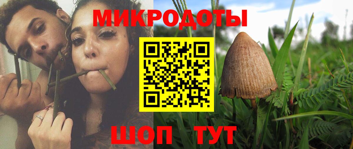 Псилоцибиновые грибы MAGIC MUSHROOMS  Псилоцибиновые грибы прущие грибы  Вход с VPN  Минусинск 