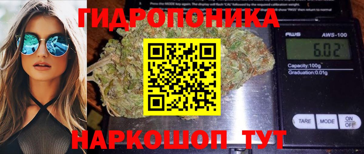 Каннабис ГИДРОПОН Минусинск